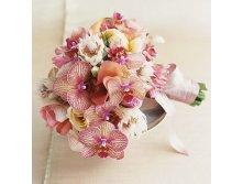 orchids_kkflowers_m 1.jpg