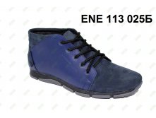 ENE 113 025  1100 .jpg