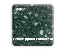 staronpebblepp868pondero.jpg