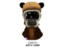 ARCV-GIBN