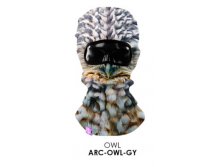 ARC-OWL-GY