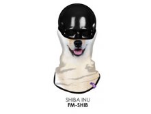 FM-SHIB