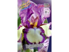 Iris germanica Garribaldi 205,3. 3..jpg