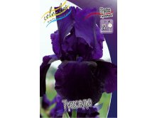 Iris germanica Tuxedo 205,3. 3..jpg