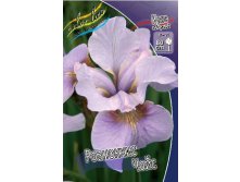 Iris sibirica Roanockes Choice 139,00.  3.jpg