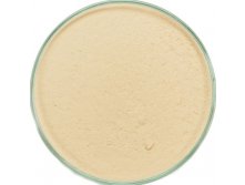 Mineral Foundation Green Tea Foundation Light.jpg