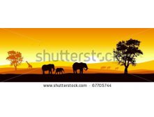 stock-vector-stock-vector-of-african-wildlife-67705744.jpg