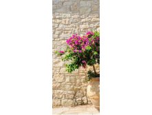 stock-photo-gate-and-flower-in-pot-on-street-in-omodos-village-cyprus-109964384.jpg