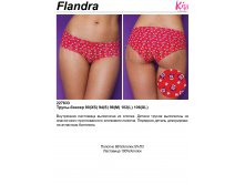 Flandra boxer.jpg