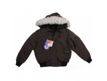  Canada Goose  2320