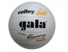  . GALA TRAINING BV 5041L (. )