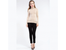 BASIC-FW13C  .GIF