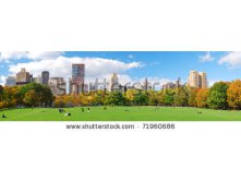 Stock-photo-new-york-city-manhattan-skyline-panorama-viewed-from-central-park-with-cloud-and-blue-sky-and-71960686.jpg