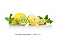 Stock-photo-studio-shot-of-three-sliced-lemons-and-limes-with-mint-isolated-on-a-white-background-236613883.jpg