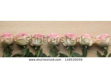 Stock-photo-banner-with-white-pink-roses-149535059.jpg