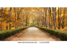 Stock-photo-panorama-pathway-in-beautiful-autumn-park-landscape-114112186.jpg