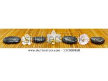 Stock-photo-zen-garden-with-flowers-and-stones-in-line-137266958.jpg