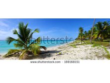 Stock-photo-tropical-beach-with-blue-sky-169168151.jpg