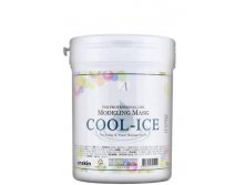     .  .  () Cool-Ice Modeling Mask container 700  386,00