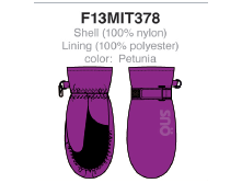 F 13 MIT 378 Petunia