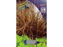 95,4.  (CAREX) (   1 .,   1.).jpg