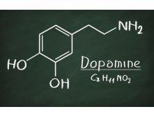 Dopamine-learning-motivation.jpg