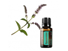   Spearmint Essential oil.png