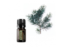  Douglas Fir Essential oil.png