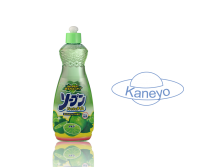        Kaneyo   600 