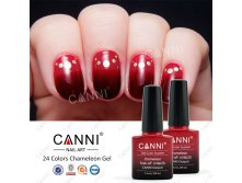 -50801J-CANNI-24-Fashion-Magic-Colour.jpg