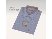 Forest 85k.jpg