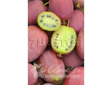 Actinidia arguta Bingo    2 ltr &#8364; 6,81 510,58..jpg