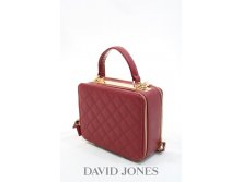 David Jones 3269 Bordeaux.jpg