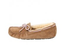  UGG Dacota -  ( 36-40), , 4400