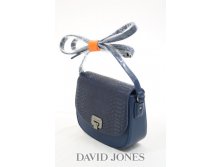 David Jones 5253-1 Blue.jpg