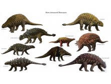 928360-dinosaur animals.jpg