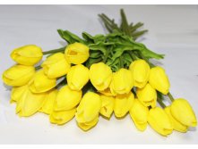 Tulip-yellow.jpg