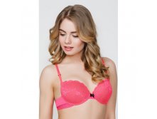 31204110121  Push-up . Fortuna 490,00