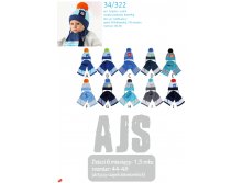   AJS  2017 page 14.jpg