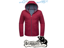  Braggart Status -  1295A  3100..png