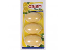 Dalan   3 907  62,19.jpg