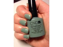 Shellac CeNDy.jpg