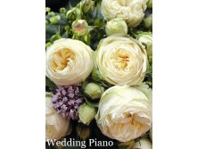 Wedding Piano ( 17).jpeg
