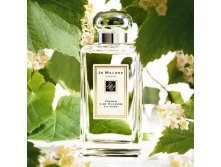 FRENCH LIME BLOSSOM  100  9800+%+