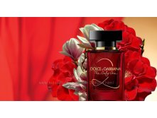 THE ONLY ONE 2 DOLCE & GABBANA   100  2900+%+