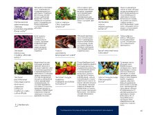 Catalog-biosea pages-to-jpg-0045.jpg