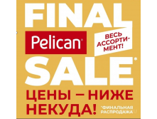  .Pelican .   -60%  ! أ ,   ,. 0  15 .  99 ,,  229 .     . 0 !!)-3