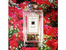 74RED ROSES JO MALONE  100  6800+%+