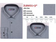 2LBM31+3 slim line.jpg