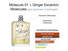 ESCENTRIC MOLECULES Molecule 01 + Ginger